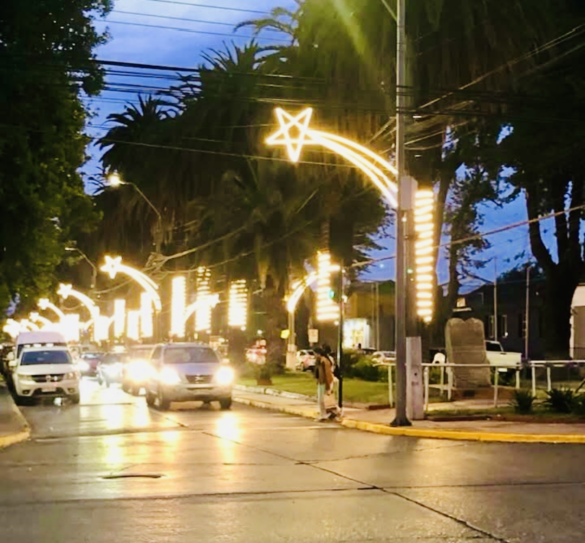 Luces de Avenida Bisquertt